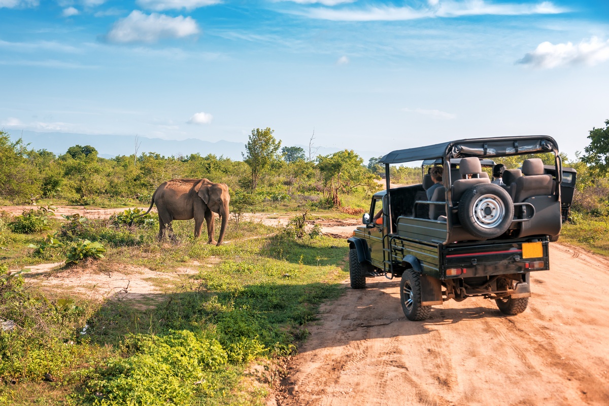 Moremi Game Reserve