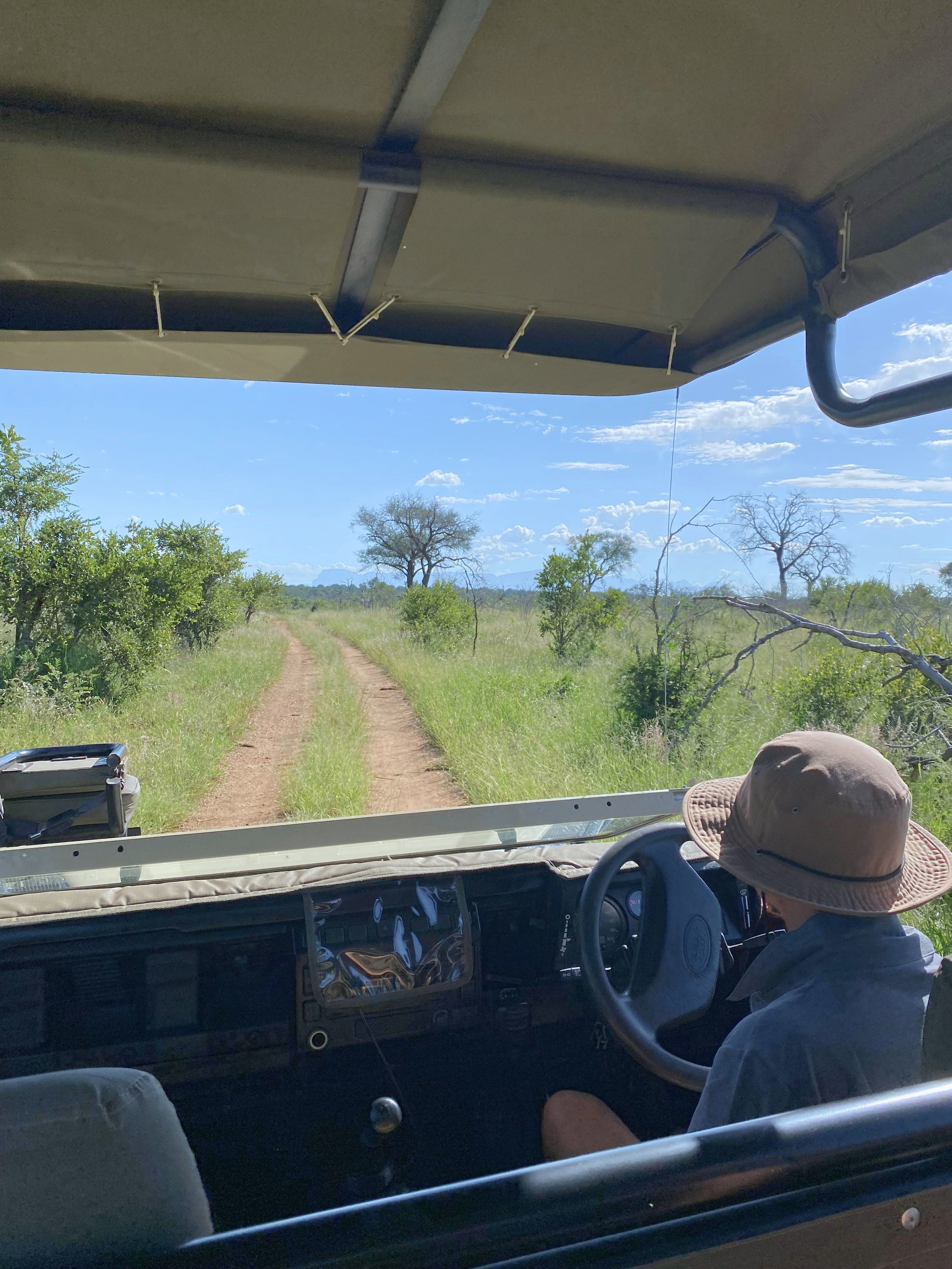 Safari vehicle POV