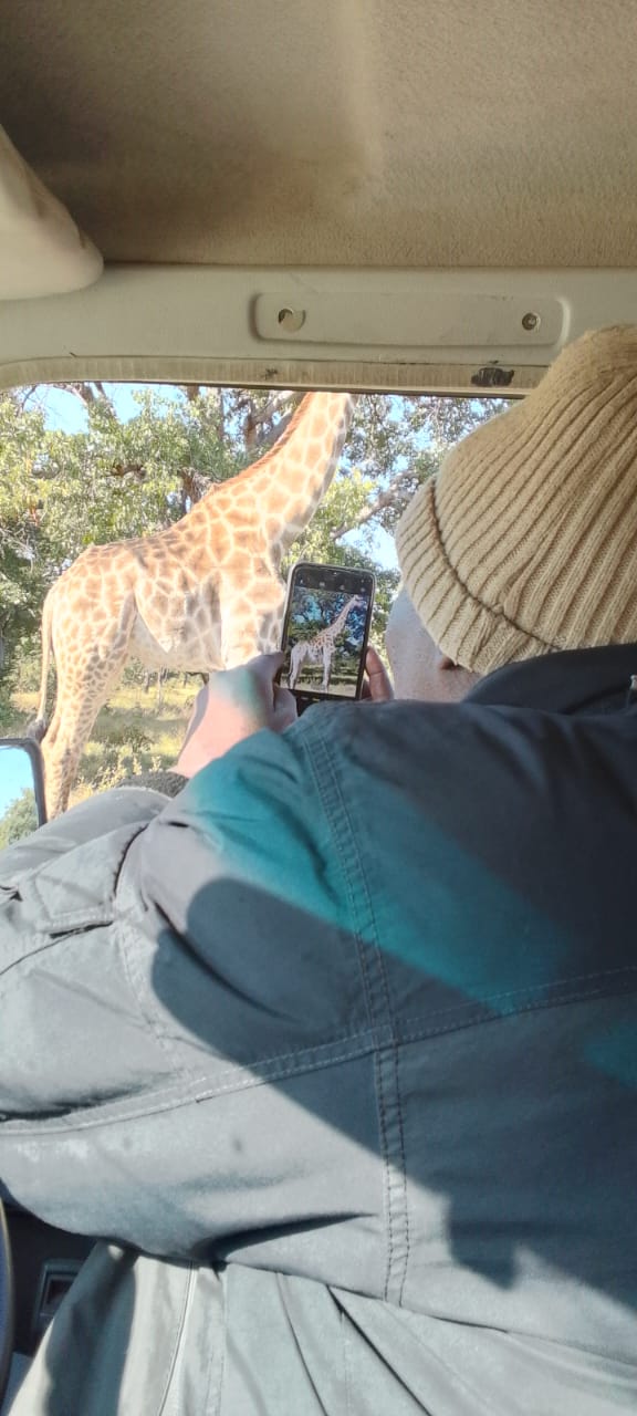 Guest photographing a giraffe up close