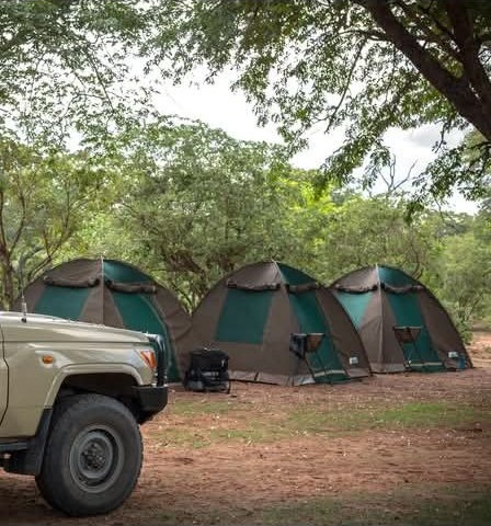 Safari camp setup with vehicle
